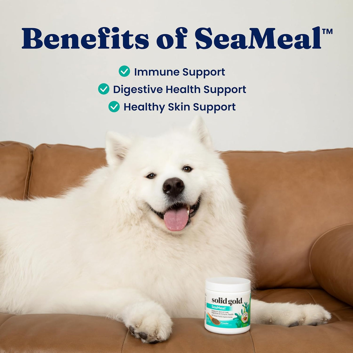 Solid Gold SeaMeal Cat Probiotic & Dog Probiotics for Digestive Health - Kelp Powder Dog & Cat Multivitamin Supplement with Prebiotics & Digestive Enzymes - 227g - görsel 4