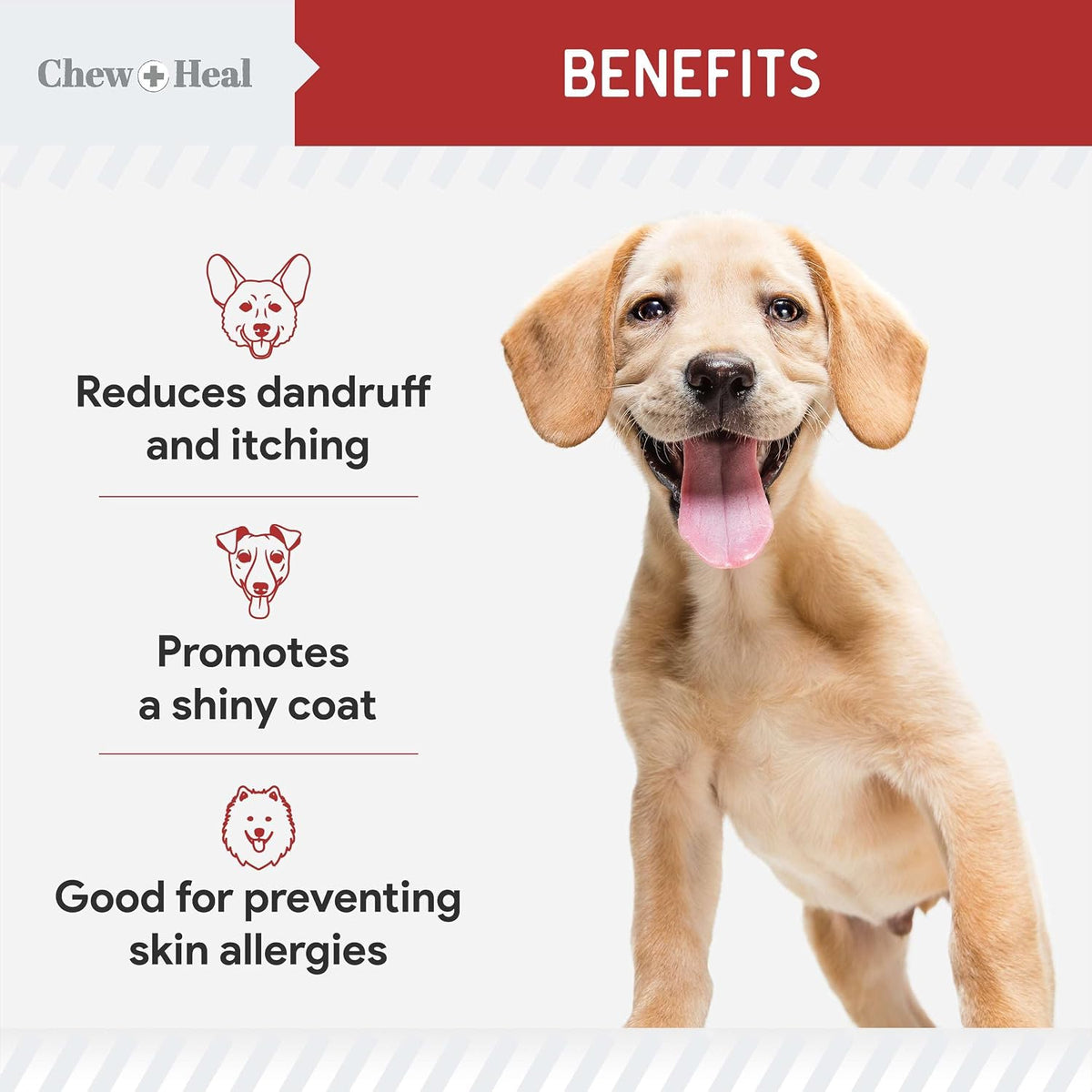 Best Itchy Skin Relief for Dogs - 360 Soft Chew Omega Chews for Skin and Coat - Salmon Oil Blend of Fatty Acids, Omega-3, 6, Vitamins, Antioxidants - Made in the USA (2 Packs of 180, Bacon Flavour) - görsel 3