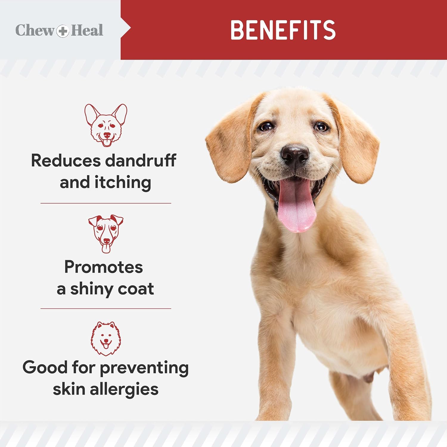 Best Itchy Skin Relief for Dogs - 360 Soft Chew Omega Chews for Skin and Coat - Salmon Oil Blend of Fatty Acids, Omega-3, 6, Vitamins, Antioxidants - Made in the USA (2 Packs of 180, Bacon Flavour) - görsel 3