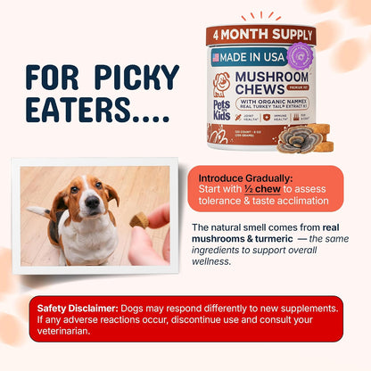 Turkey Tail Mushroom Chews for Dogs with Organic Real Turkey Tail™ – 8:1 Extract Blend (120 Chews)