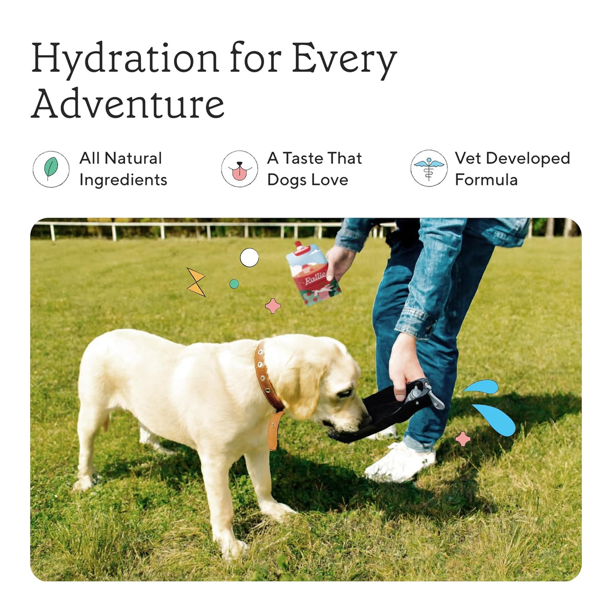 Rallie Apple Bacon Flavoured Hydrogen Water for Dogs with Electrolytes Glucosamine and B Vitamins, 500ml 6 Pack - görsel 3