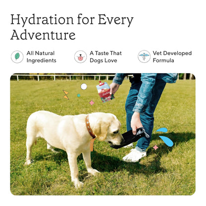 Rallie Apple Bacon Flavoured Hydrogen Water for Dogs with Electrolytes Glucosamine and B Vitamins, 500ml 6 Pack