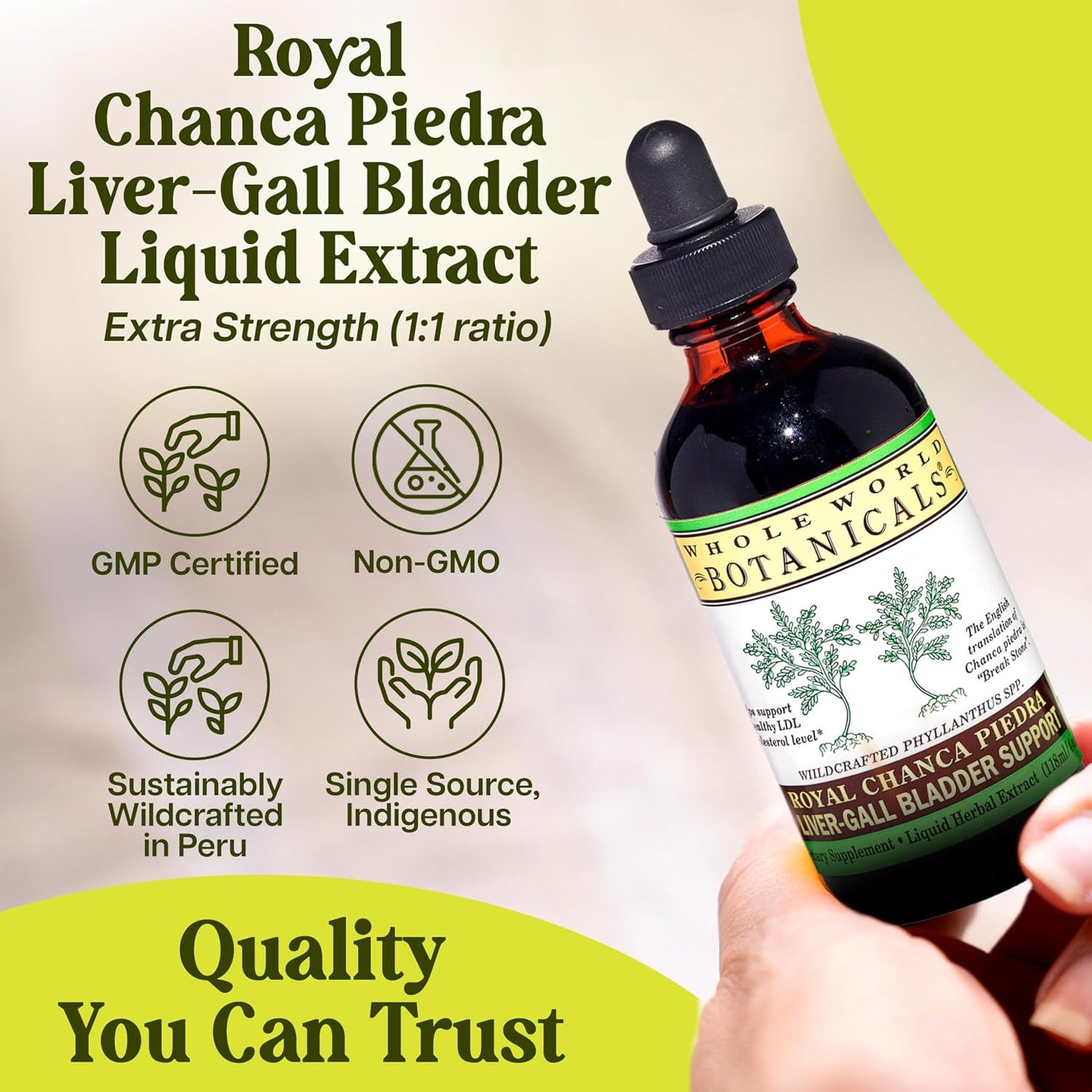 Whole World Botanicals Royal Chanca Piedra Liquid Extract – Liver and Gallbladder Support – 118 ml - görsel 7