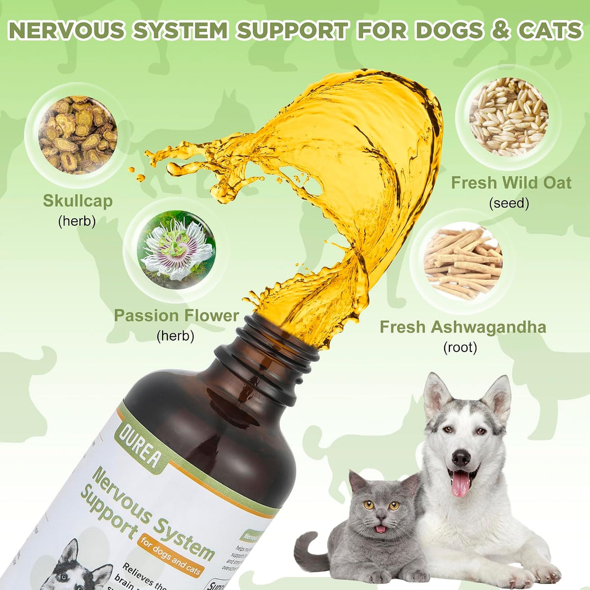Seizure and Epilepsy Supplement for Dogs and Cats, Nervous System Support, Natural Herbal Help for Anxiety, Muscle Twitching, Drooling and Repetitive Movements - görsel 5