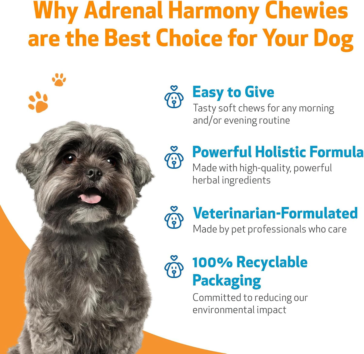 Pet Wellbeing Adrenal Harmony Chewies for – Veterinary formulation : Products developed with input from – Image 6