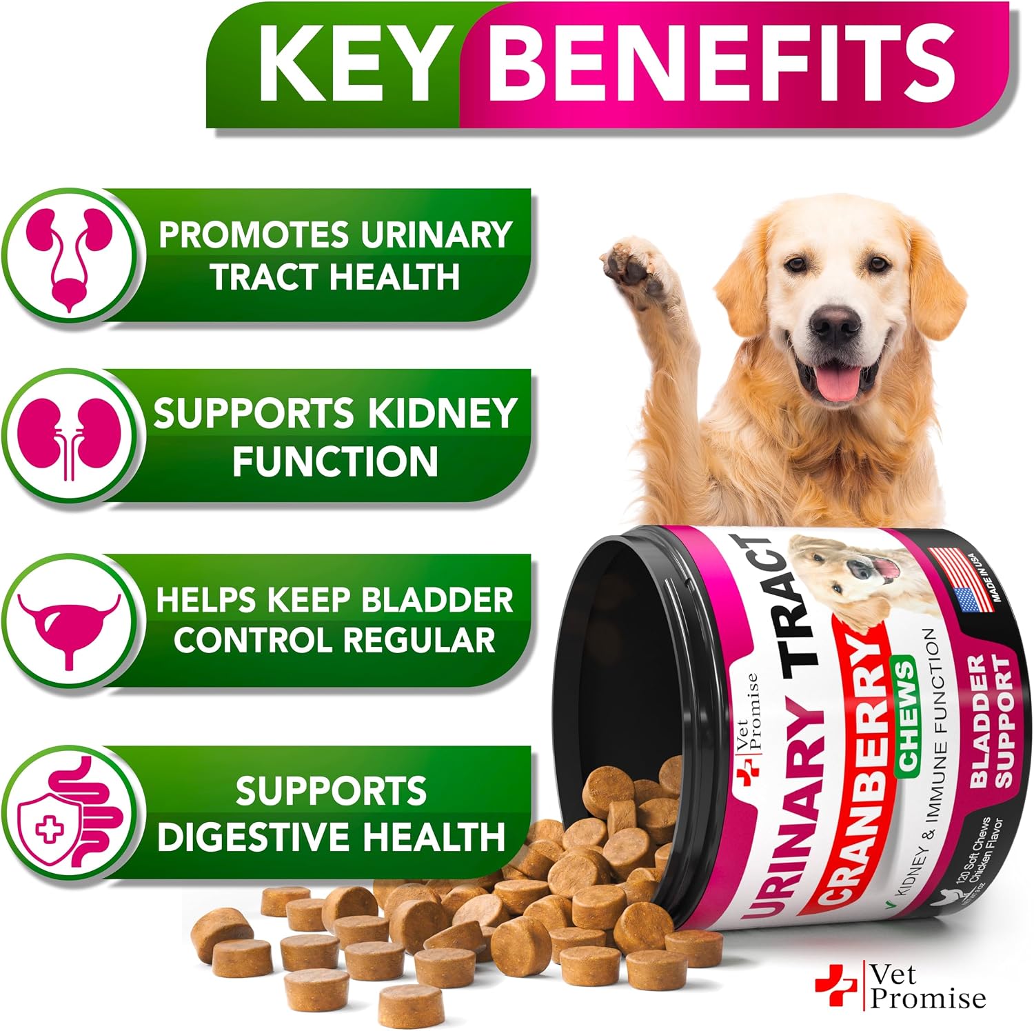 Dog UTI Chews - Advanced Cranberry Supplement for Dogs - görsel 2