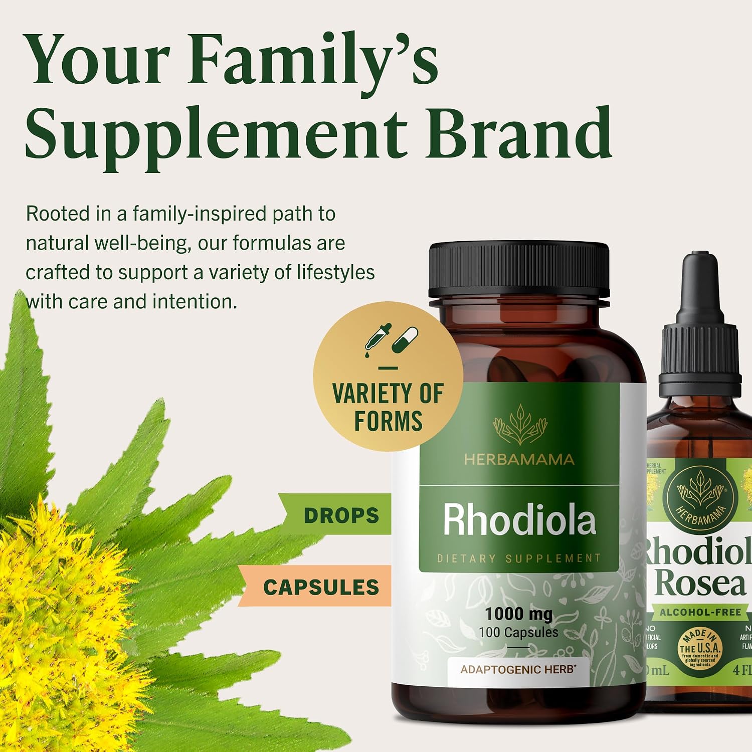 HERBAMAMA Rhodiola Rosea Supplement – Rhodiola Rosea Capsules for Stress Relief & Mental Focus Support – 100 Vegan Capsules (50 Servings) - görsel 8