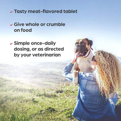 Vi-Sorbits Iron & Vitamin Daily Supplement for Dogs, Meat-Flavoured Chewable Tablets, 200 Count