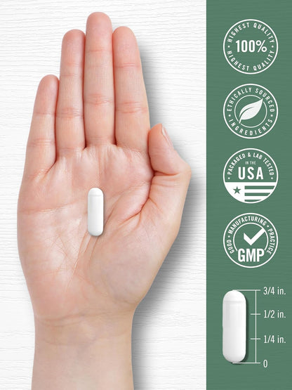 Carlyle Devil's Claw Herbal Supplement, 200 Capsules - Non-GMO & Gluten-free