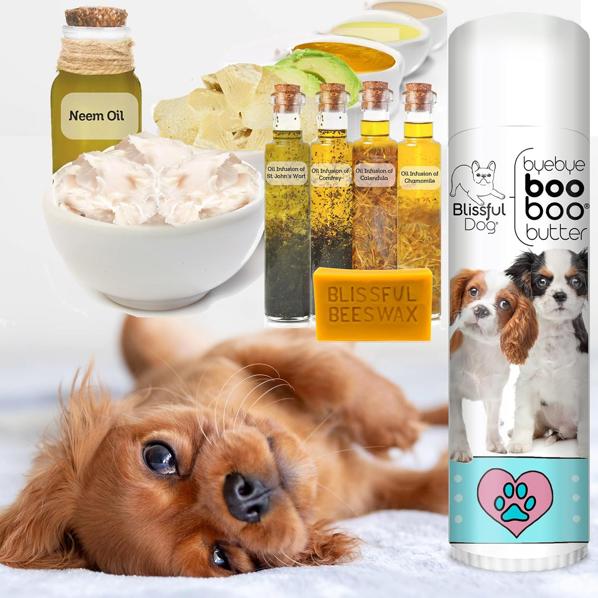 The Blissful Dog 14 g Tube Cavalier King Charles Spaniel Booboo Butter - görsel 2