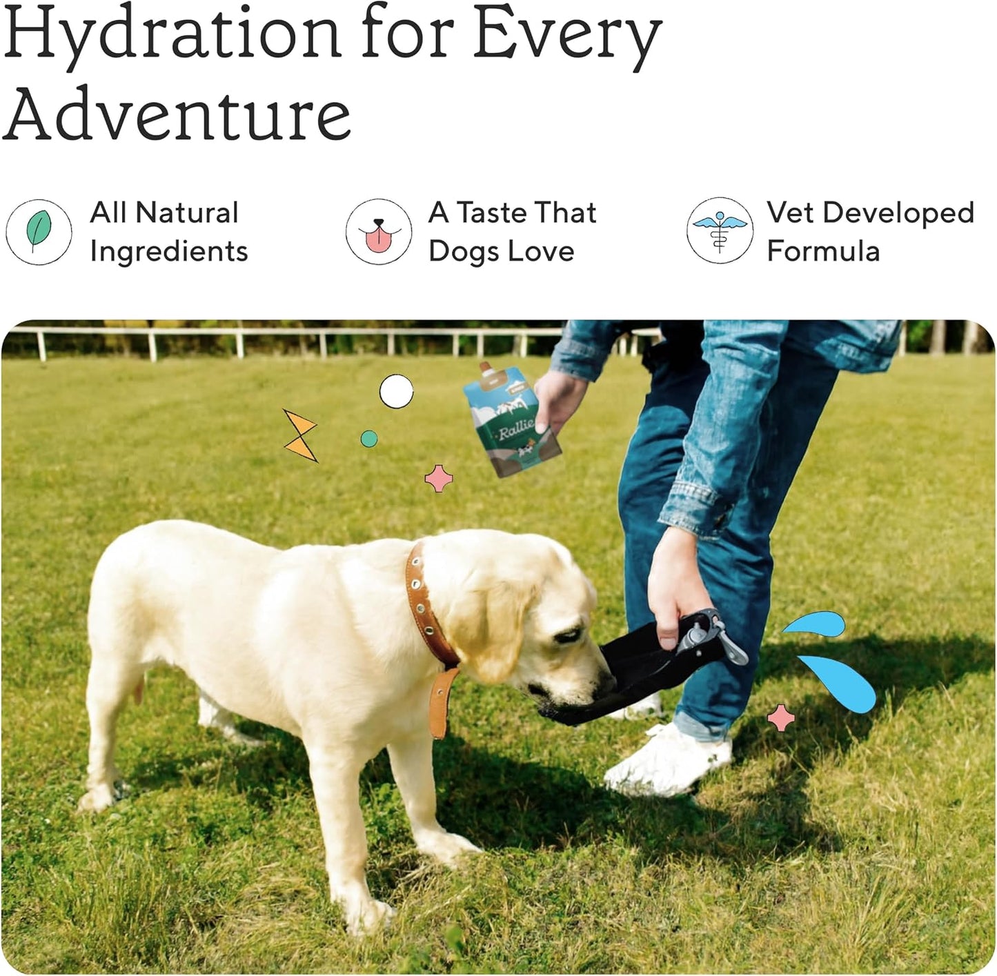 Rallie Beef Flavoured Hydrogen Water for Dogs with Electrolytes, Glucosamine, and B Vitamins – 500ml (6 Pack) - görsel 3