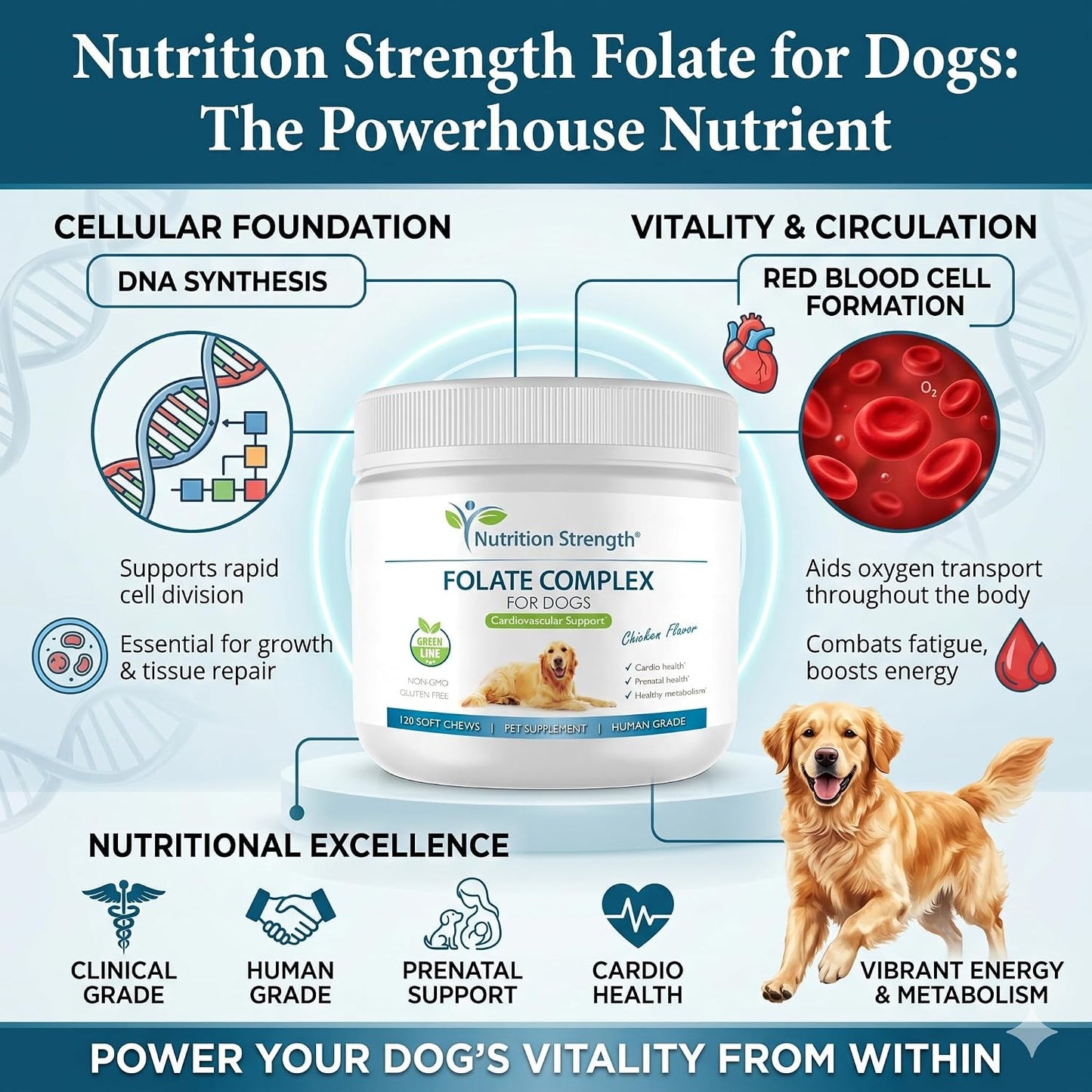 Nutrition Strength Folate for Dogs – Cardiovascular & Prenatal Support, DNA Synthesis, with Zinc, Biotin, Iron & Vitamin B12, 120 Soft Chews - görsel 2