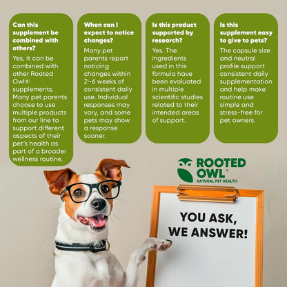 Rooted Owl® Blood Support for Dogs & Cats with Spirulina & Chlorella