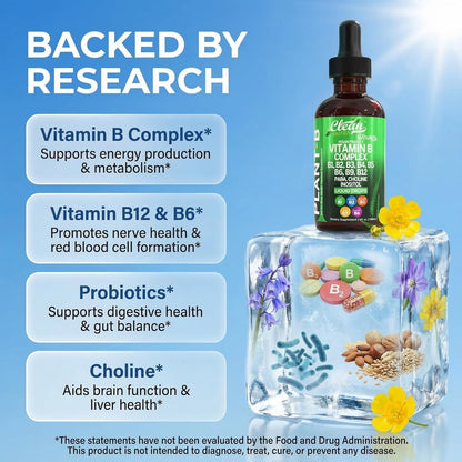 Vitamin B Complex Liquid Drops - Plant B Vitamin Supplement with Methylated B12, Choline and Probiotics
