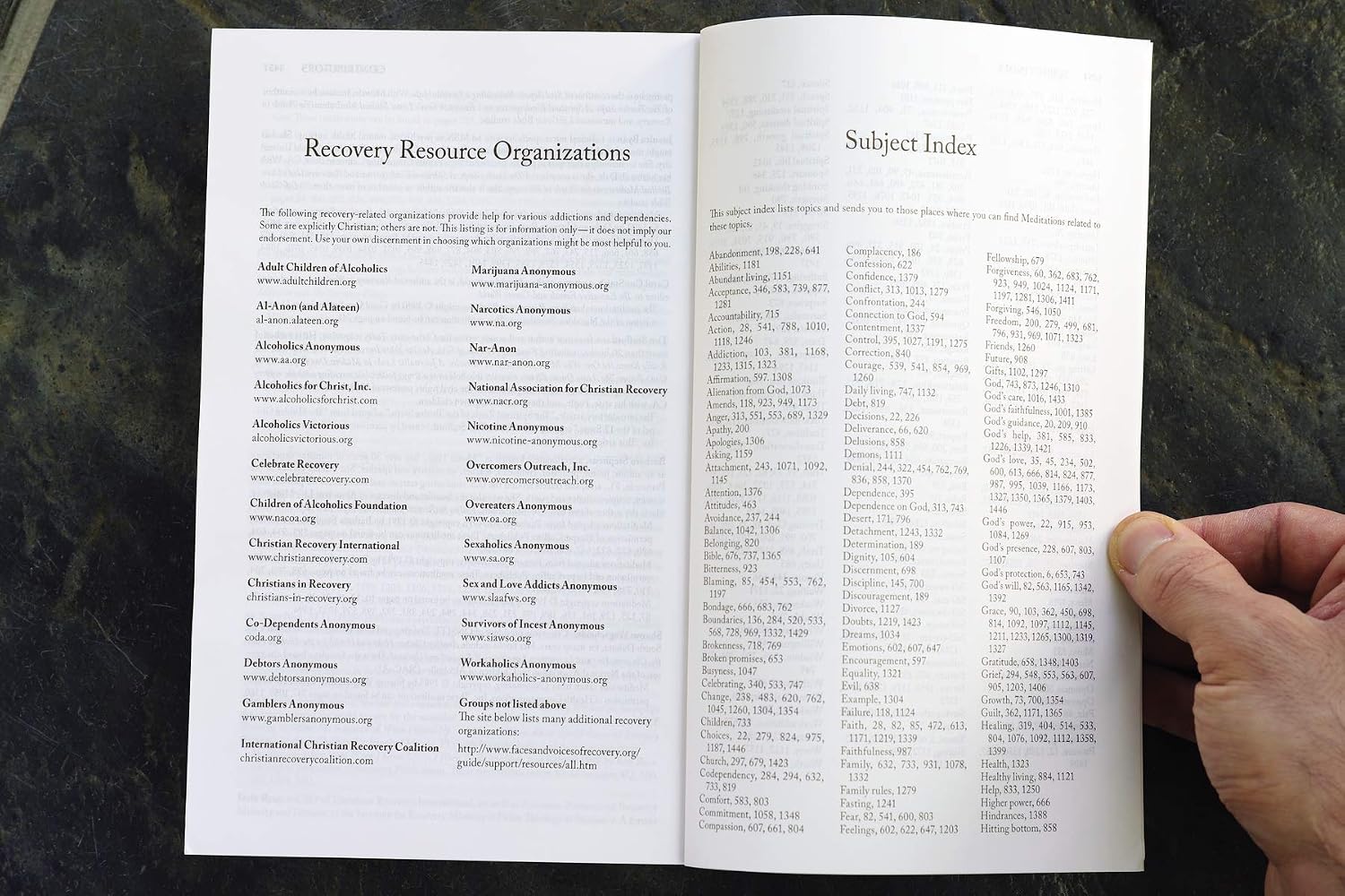 NIV, Recovery Devotional Bible, Paperback - görsel 10
