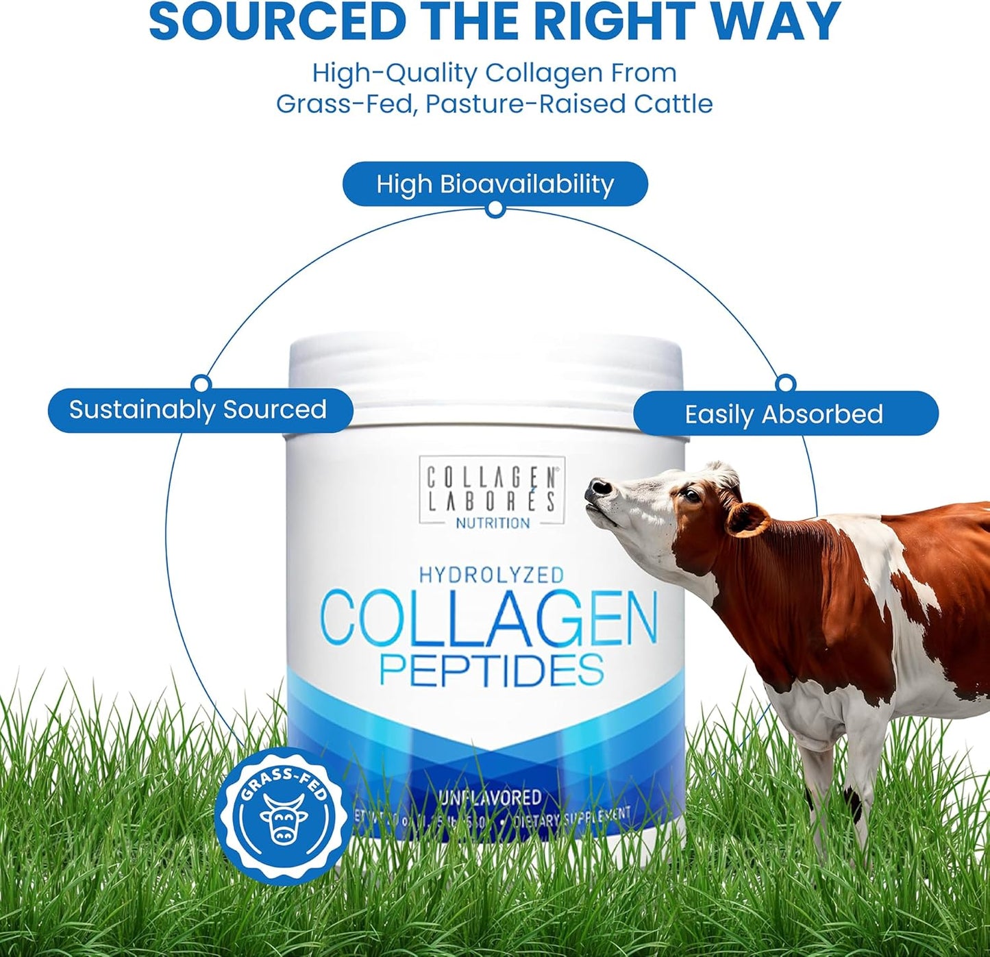 Pure Hydrolysed Collagen Peptides – Unflavoured, Grass-Fed, Pasture-Raised (567 g) - görsel 5