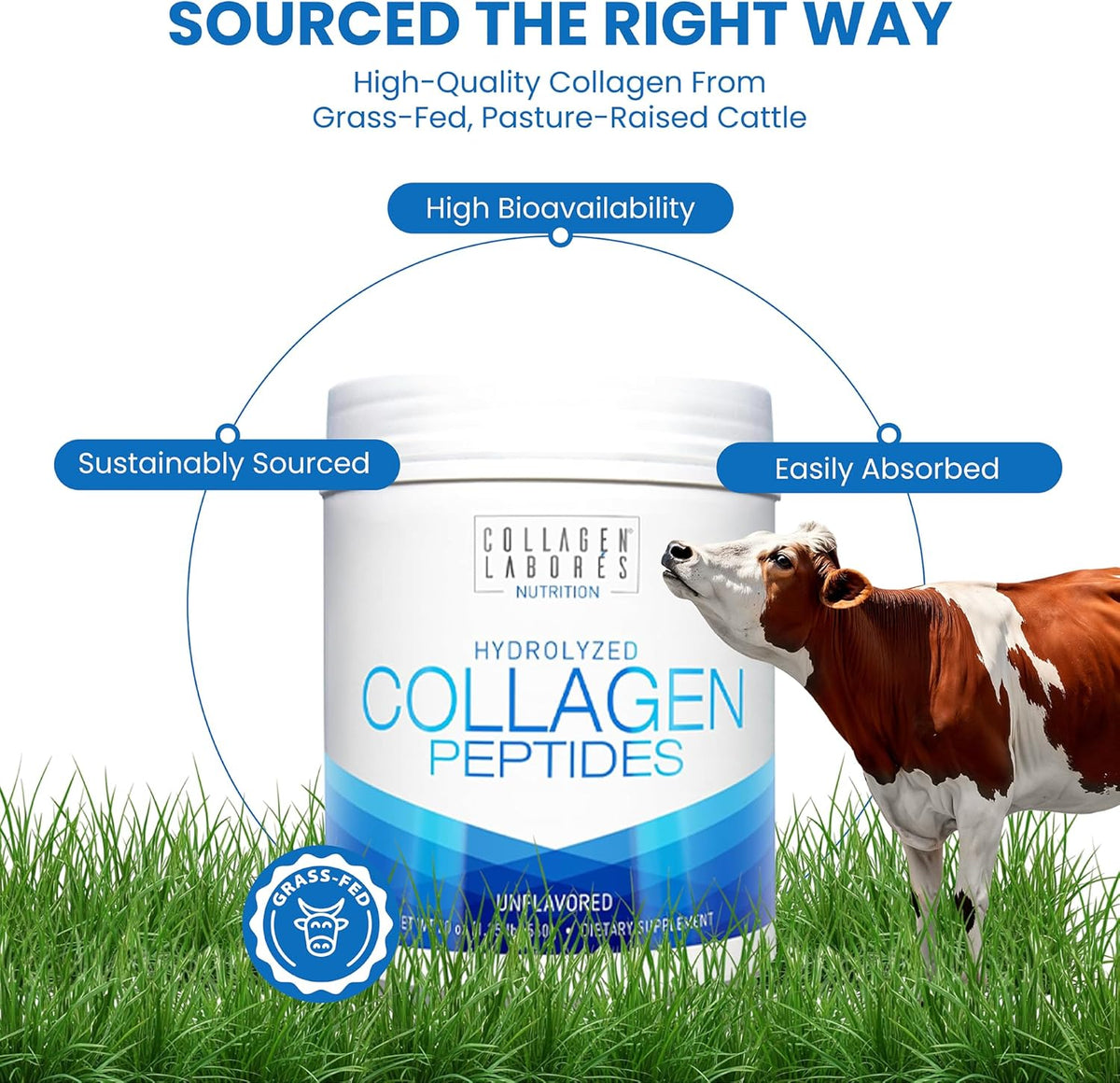 Pure Hydrolysed Collagen Peptides – Unflavoured, Grass-Fed, Pasture-Raised (567 g) - görsel 5