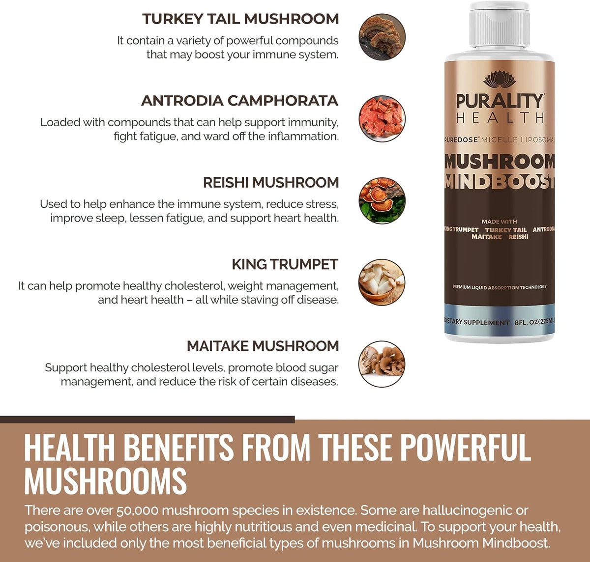 Liposomal Mushroom Mindboost – 5 Mushroom Blend for Energy and Mental Clarity - görsel 3