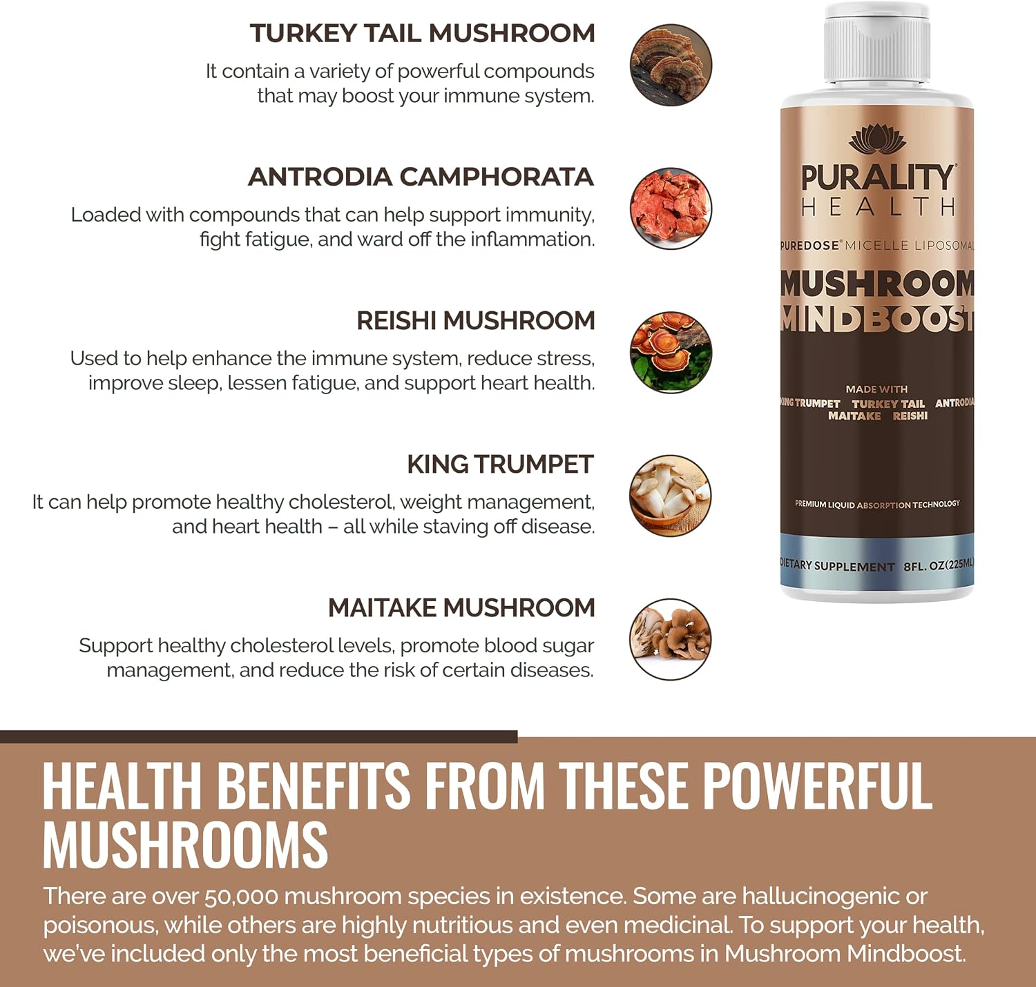 Liposomal Mushroom Mindboost – 5 Mushroom Blend for Energy and Mental Clarity - görsel 3