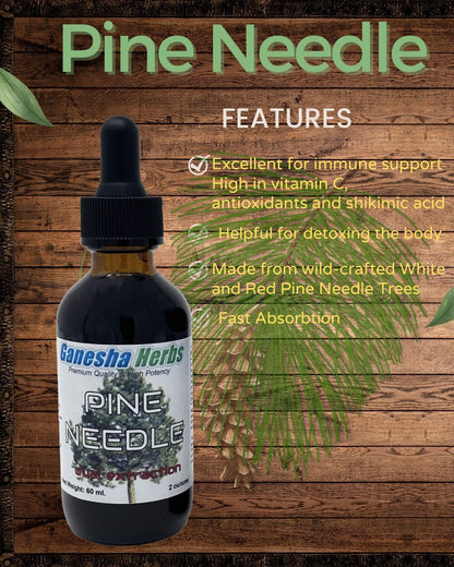 Ganesha Herbs Pine Needle Liquid Tincture – Dual Extract, 2 fl oz