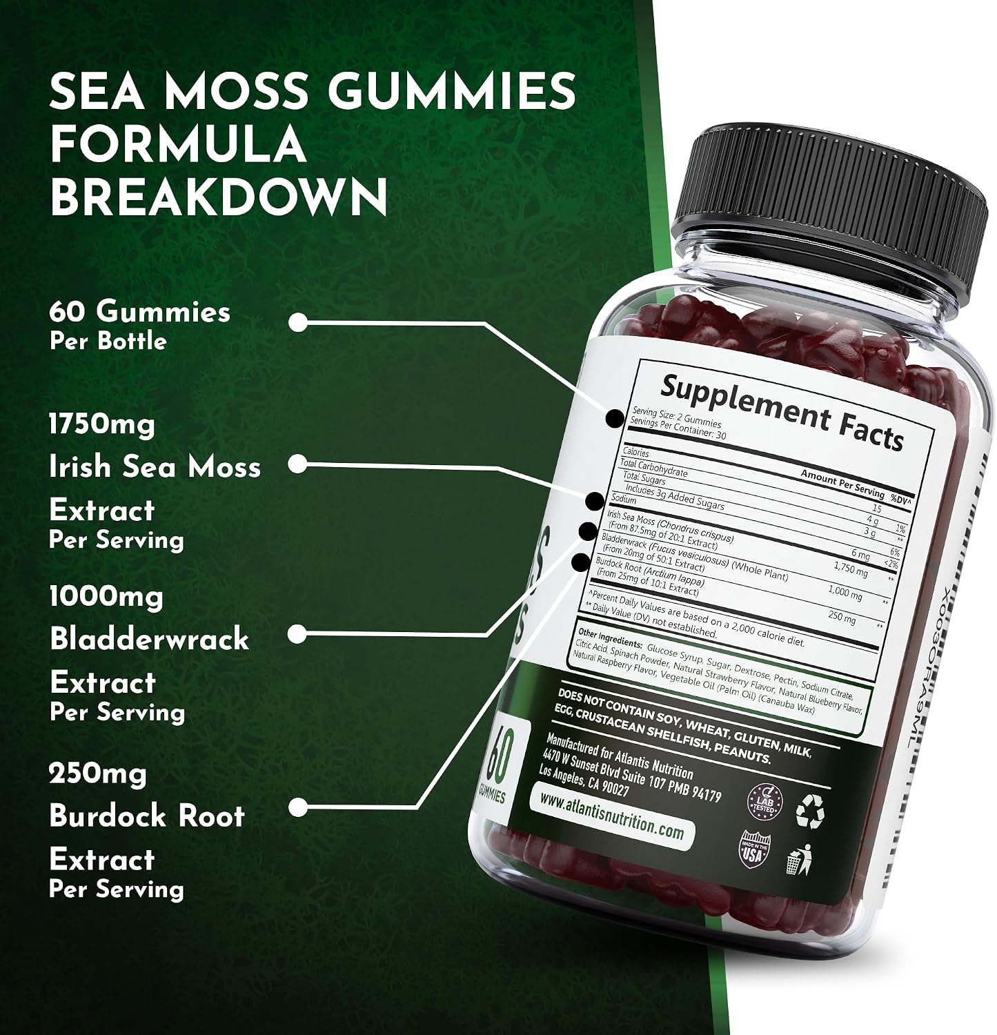 Irish Sea Moss Gummies - 3000mg - Sea Moss, Bladderwrack & Burdock Root - Antioxidant Superfood Supplement, 60 Gummies - görsel 8