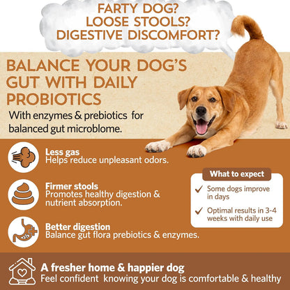 Fidobiotics Good Guts Probiotics for Dogs – Digestive Health Powder, 6 Billion CFU