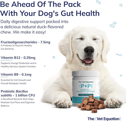 Prebiotic & Probiotic Dog Chews with Bacillus Subtilis, B12 & Folic Acid – Natural Duck Flavour (90 Count)