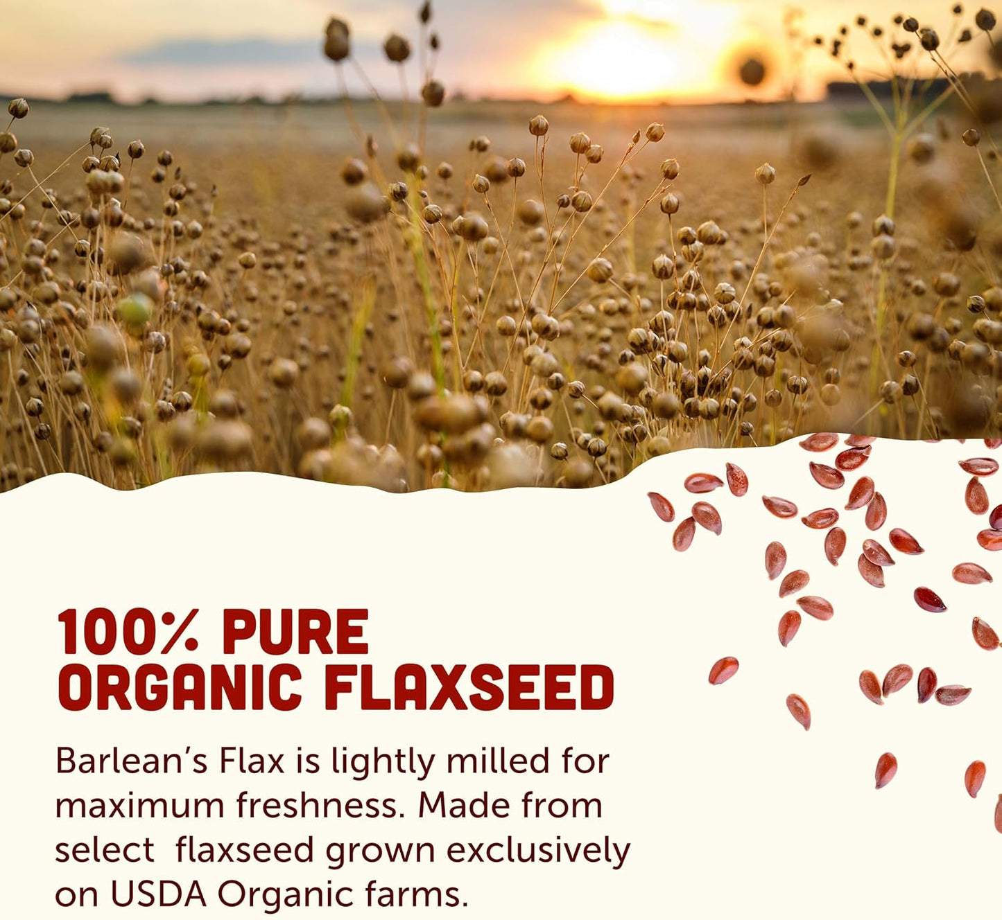 Barlean's Forti-Flax Organic Flaxseed 2 Pack, Ground Whole Raw Seeds, Omega 3 Seed Fibre Supplement with Lignans, Vegan, 2 x 454g - görsel 3