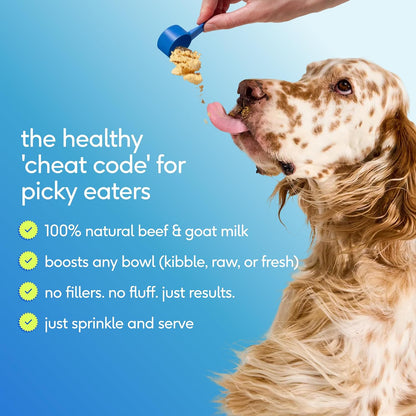 Native Pet The Daily Dog Vitamins & Supplements - 11-in-1 Multivitamin Powder for Dogs