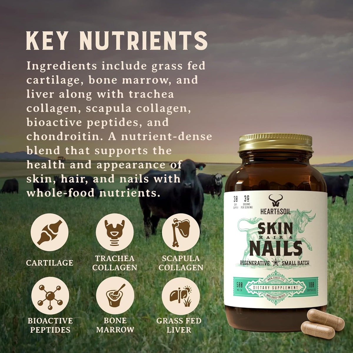 Heart & Soil – 100% Grass Fed & Finished Hair Skin and Nails Supplement – 180 Capsules - görsel 8