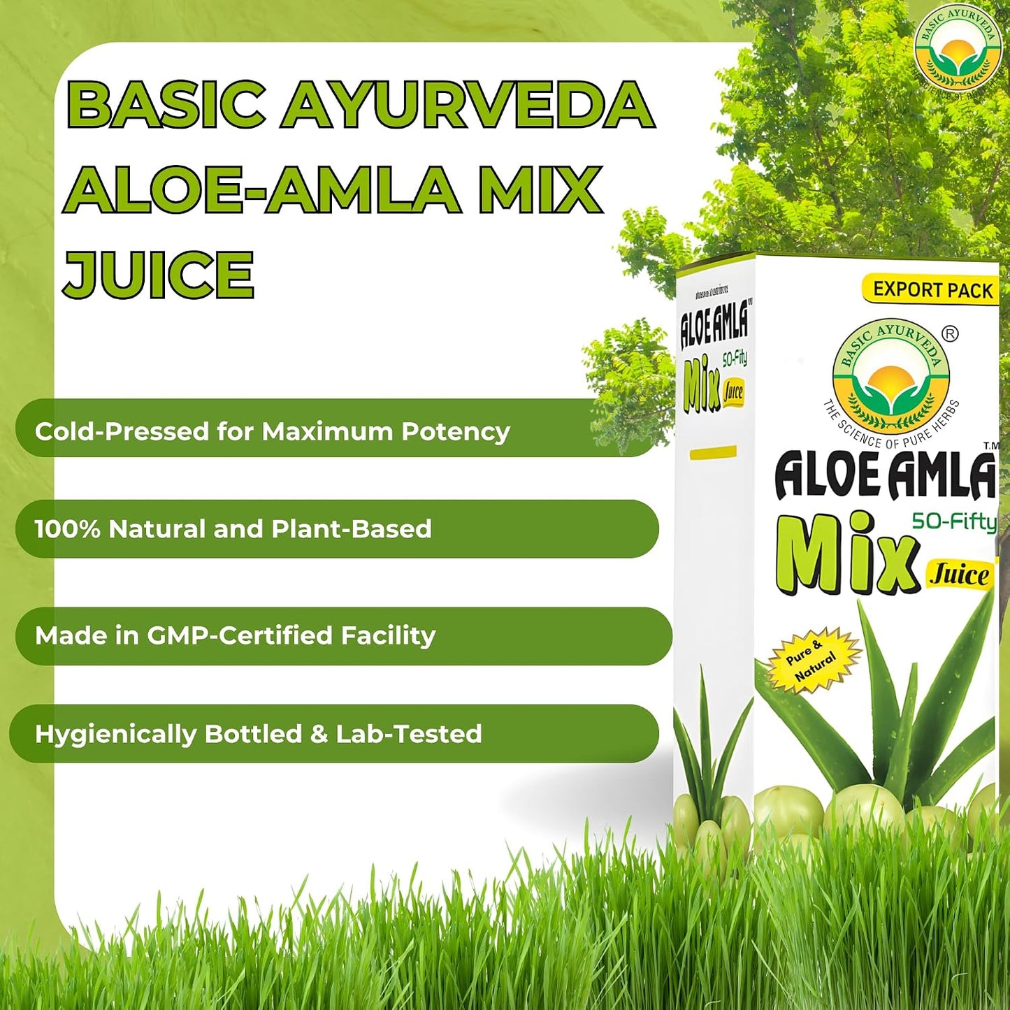 Basic Ayurveda Aloe Vera & Amla Herbal Mix Juice | 480ml - görsel 3
