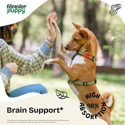 Forever Puppy Lion's Mane Mushroom Supplement for Dogs – Brain & Focus Support, 60 ml