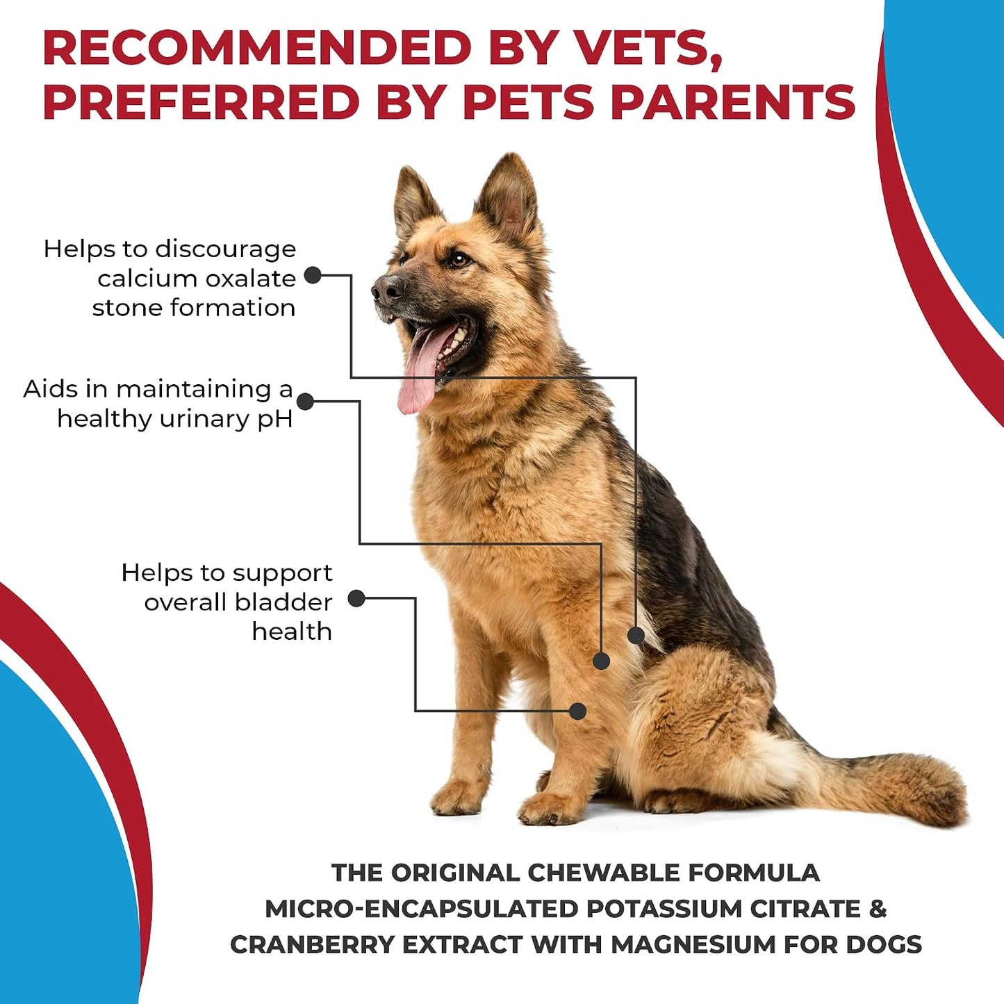 Potassium Citrate Plus Cranberry Supplement for Dogs (100 Tablets) – Urinary Tract Support – Helps Deter Formation of Calcium Oxalate Stones – Deters Bladder & Kidney Stones (Made in the USA) - görsel 7
