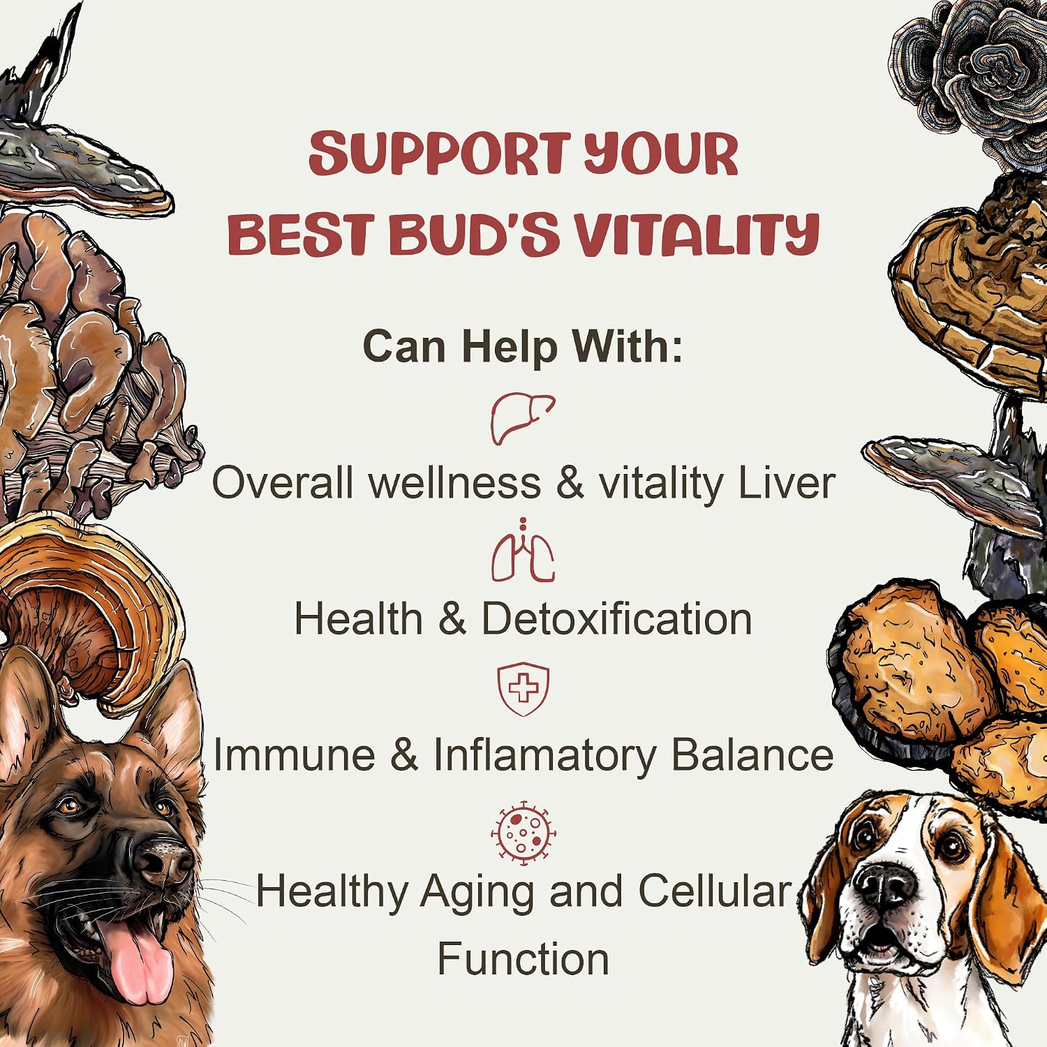 Vitality - 20-in-1 Turkey Tail Mushroom for Dogs - Mushroom & Adaptogen Supplement for Senior Dogs - Supporting Immune Health & Daily Wellness - with Reishi, Chaga - görsel 5