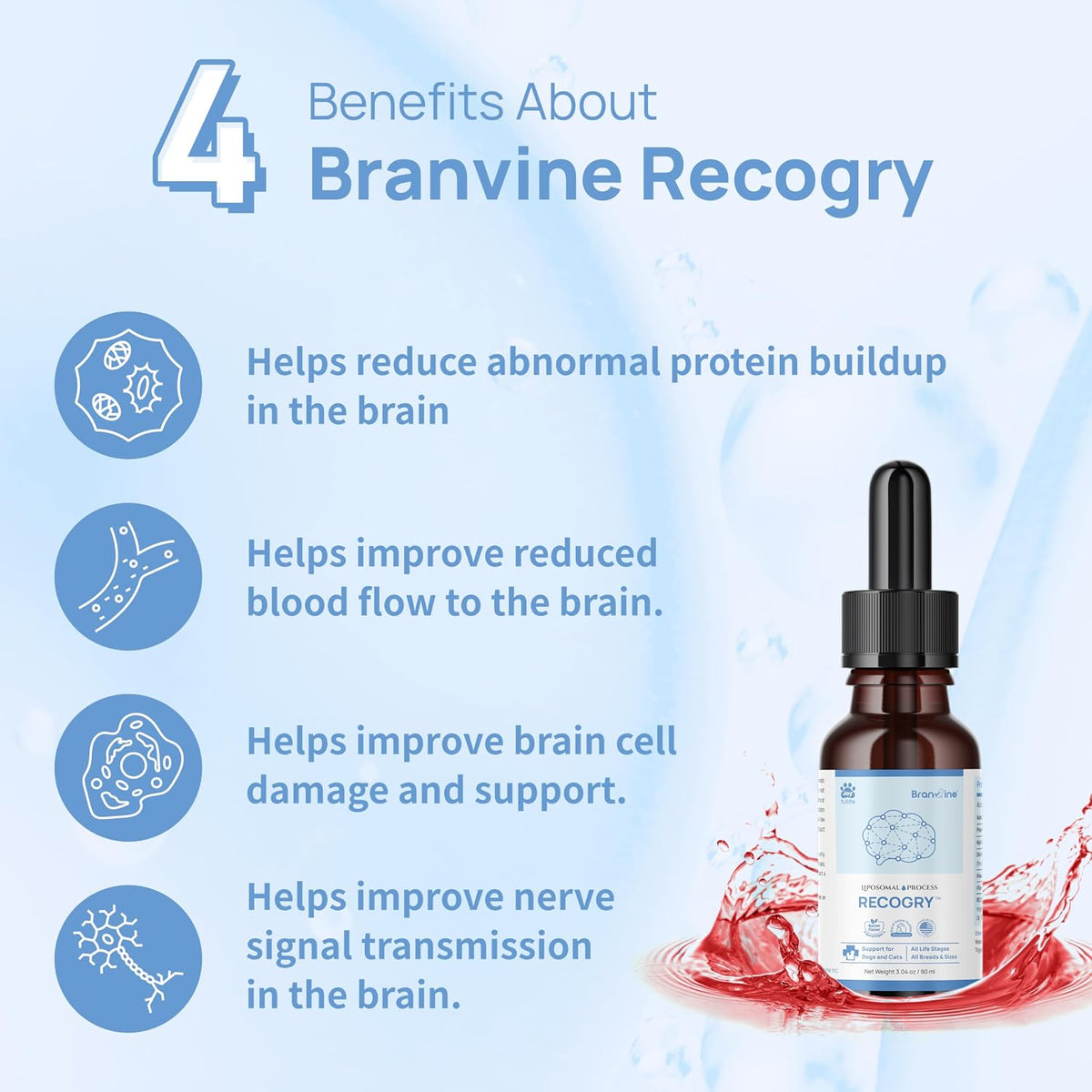 Recogry Liquid Cognitive Support for Dogs and Cats with Astaxanthin, Phosphatidylserine, Alpha GPC, DHA, Olive, Coconut, Sage, Turmeric, Ginger (90 ml) - görsel 3