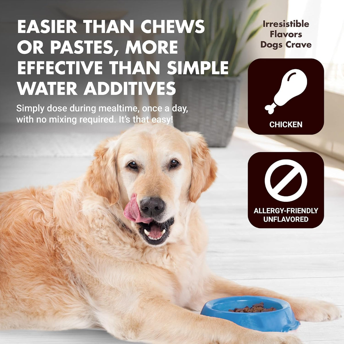 Immune Support for Dogs – Antioxidant & Gut Health – Inulin, Beta-Glucan & Omega-3s – Liquid for Picky Eaters - görsel 5