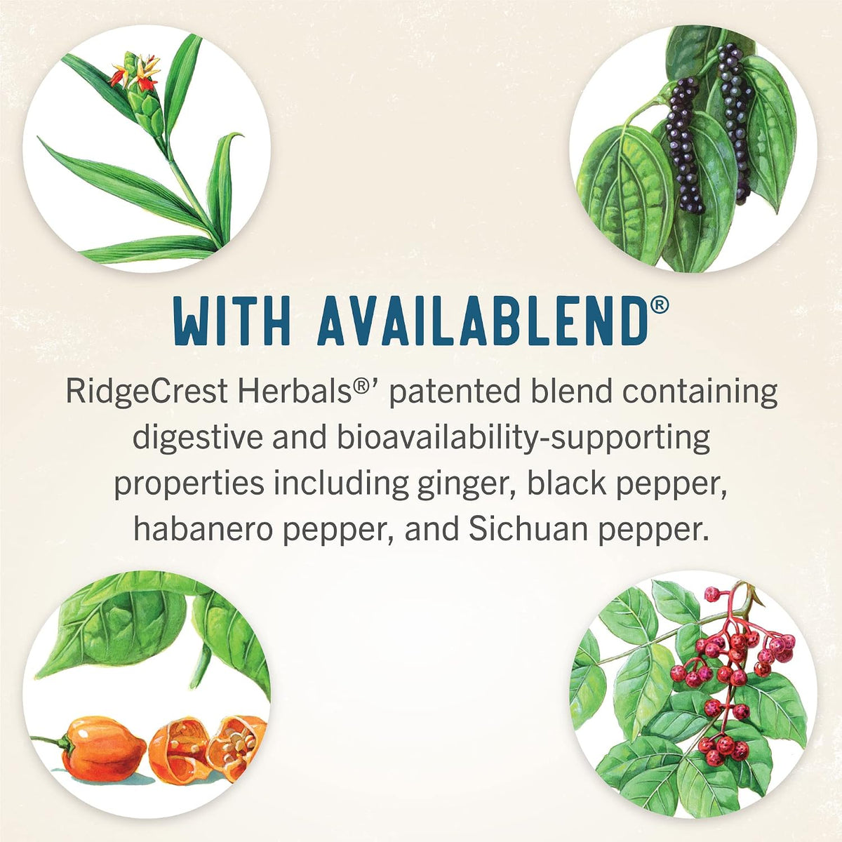 RidgeCrest Herbals Hair ReVive – Nutritional Hair Supplement for Women with Biotin, Vitamin C, Zinc & Copper - görsel 6