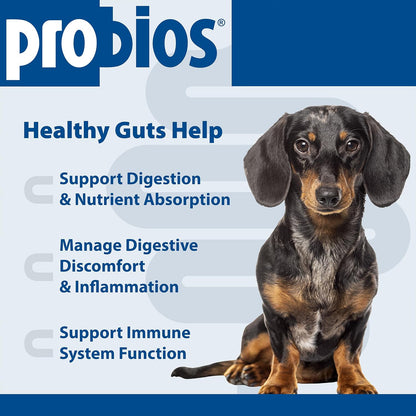Probios for Dogs Soft Chews - Daily Probiotic Supplement for Gut Health, Digestion & Immune Support - Chicken Liver Flavour - 120 Chews
