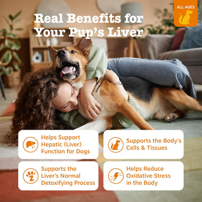 Zesty Paws Liver Support Supplement for Dogs – Milk Thistle, Turmeric, Choline Soft Chews