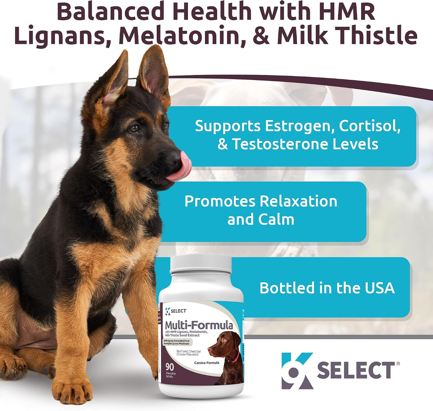 Multi-Formula Dog Vitamins for Large Dogs – 90 Beef Flavoured Chewable Tablets - görsel 2