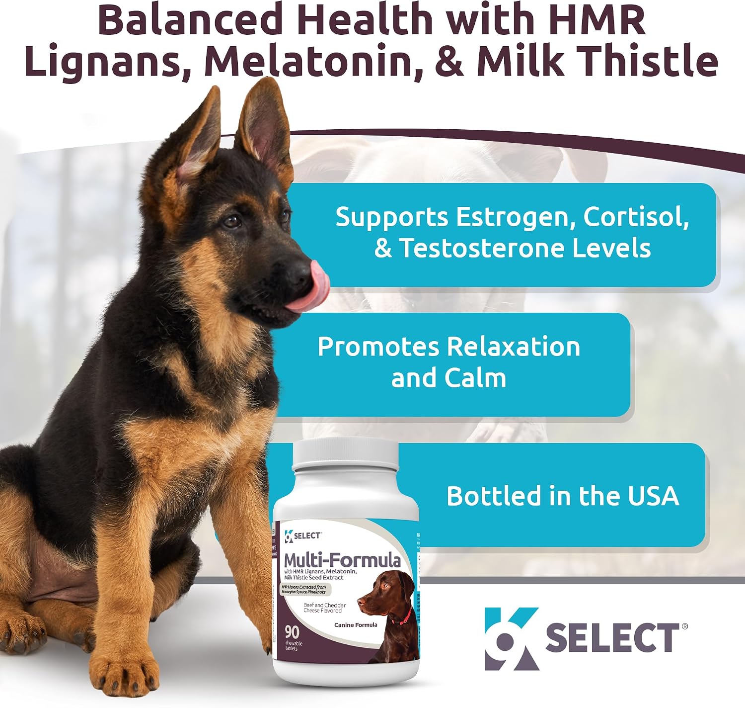 Multi-Formula Dog Vitamins for Large Dogs – 90 Beef Flavoured Chewable Tablets - görsel 2