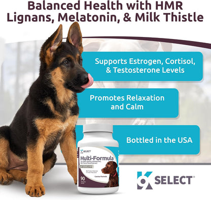 Multi-Formula Dog Vitamins for Large Dogs – 90 Beef Flavoured Chewable Tablets