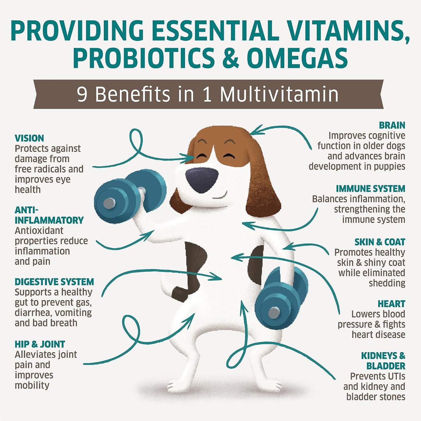 fur belly Dog Multivitamin – 9-in-1 Supplement with Probiotics & Enzymes – 120 Soft Chews - görsel 3