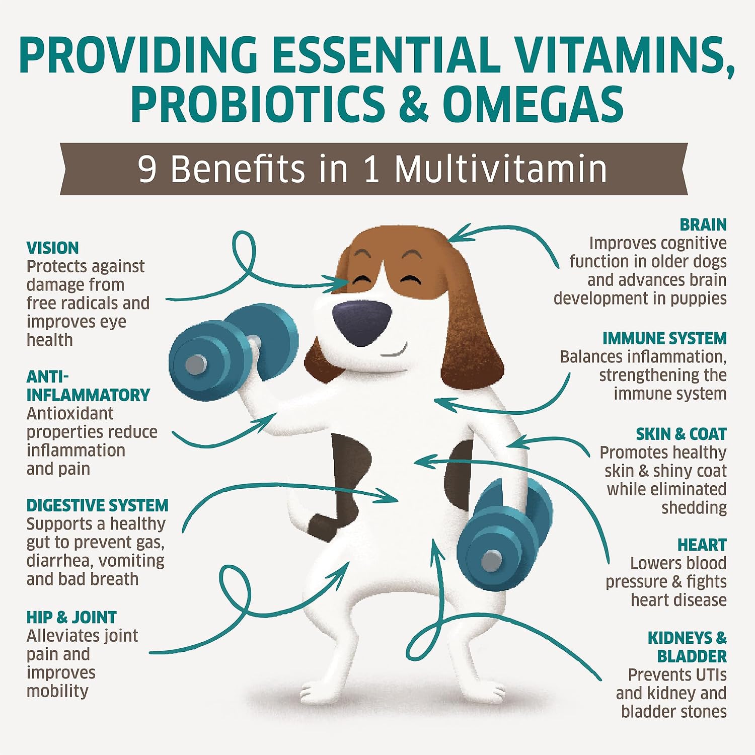 fur belly Dog Multivitamin – 9-in-1 Supplement with Probiotics & Enzymes – 120 Soft Chews - görsel 3