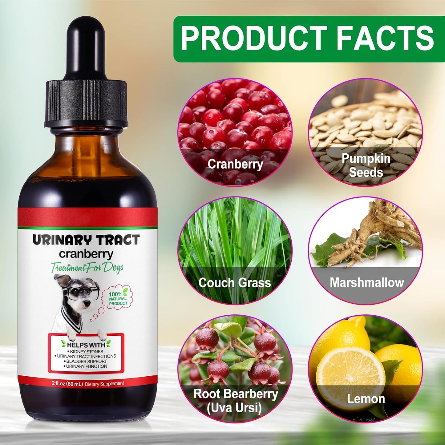 Urinary Tract Support Drops for Dogs – Herbal Formula with Cranberry and Pumpkin Seed, Bacon Flavour (60 ml) - görsel 4