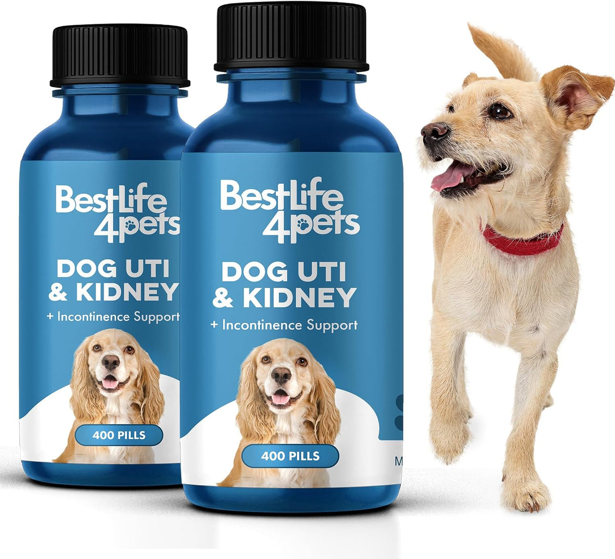 BestLife4Pets Dog UTI & Kidney Health Formula – Natural Urinary Support – 400 Tiny Pills - görsel 10