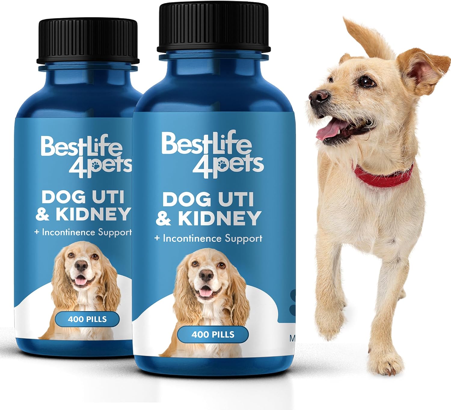 BestLife4Pets Dog UTI & Kidney Health Formula – Natural Urinary Support – 400 Tiny Pills - görsel 10