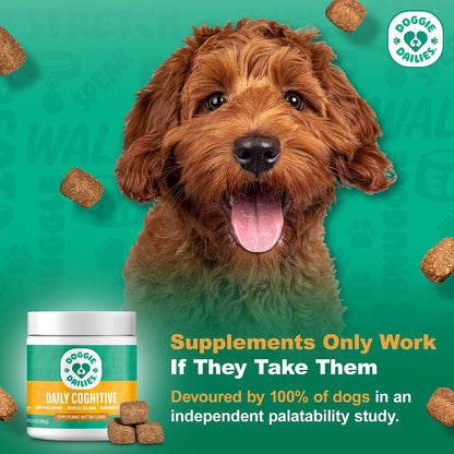 Doggie Dailies Cognitive Puppy Chews – Supplement with DHA, Selenium, Organic Ashwagandha & Antioxidants – Peanut Butter Flavour – 120 Soft Chews