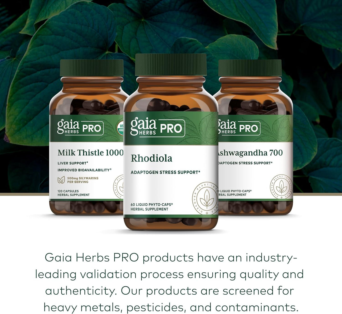 Gaia Herbs PRO Rhodiola Root Extract – Adaptogen & Energy Support – 60 Phyto-Caps - görsel 6