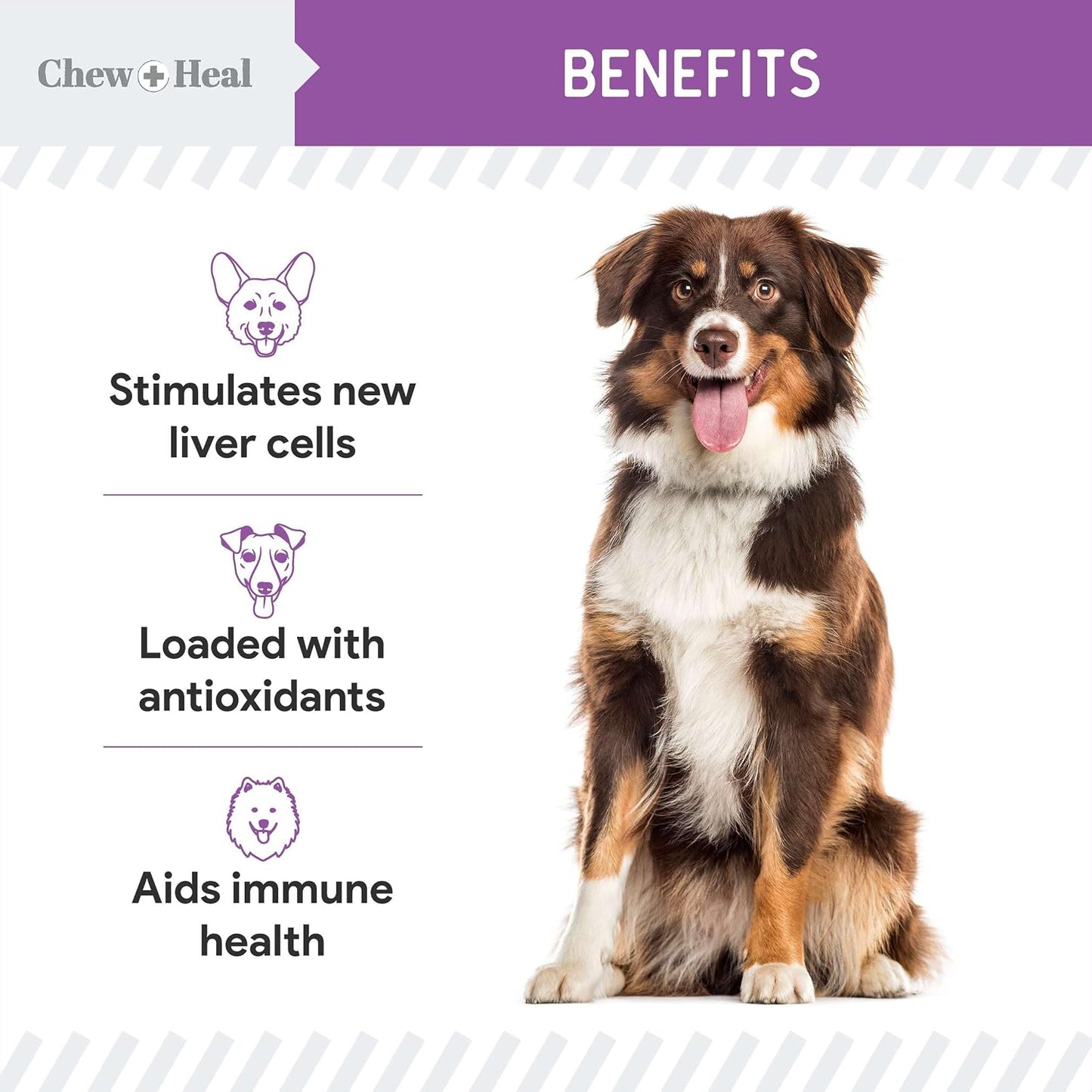 Milk Thistle for Dogs Liver Support - 60 ml Liquid Milk Thistle Supplement with Wild Alaskan Salmon Oil and Moringa Oil - Made in the USA - görsel 4